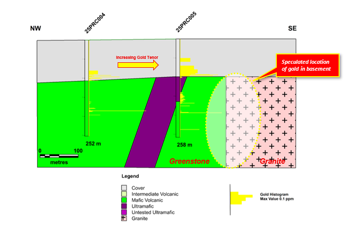 Pardoo drill section showing increasing gold tenor in cover towards the southeast and the speculated location of gold in basement
