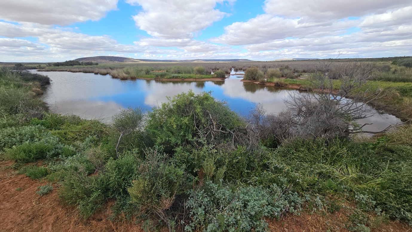 Pernatty Lagoon in the Gawler Craton, South Australia